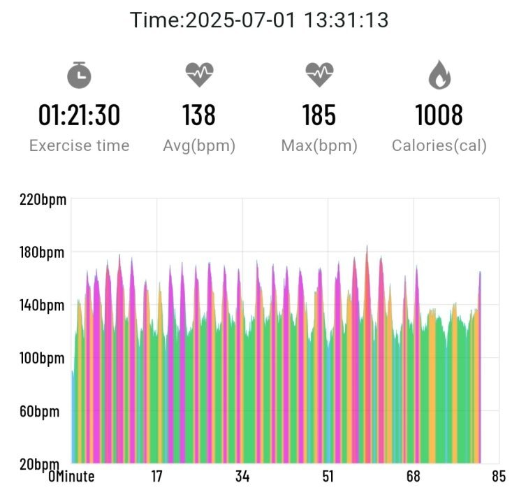 심박수 높은 트레이닝